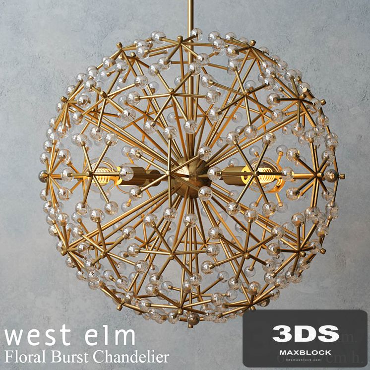 West elm - Floral Burst Chandelier