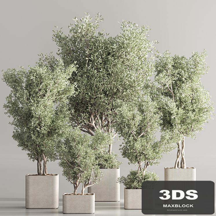Indoor Plant Set 82