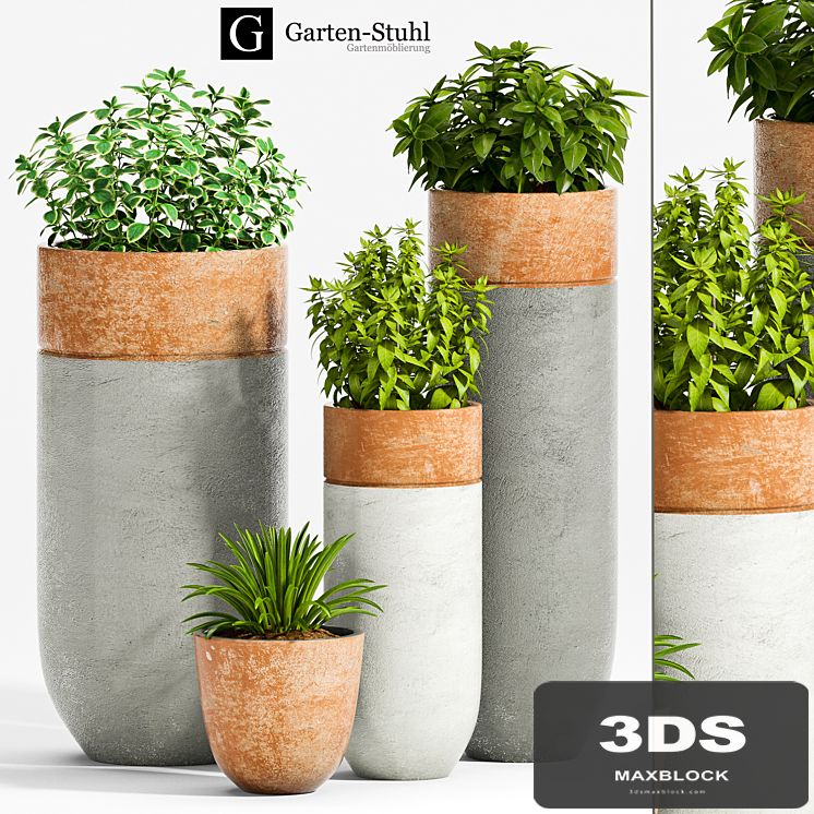 PLANT -35