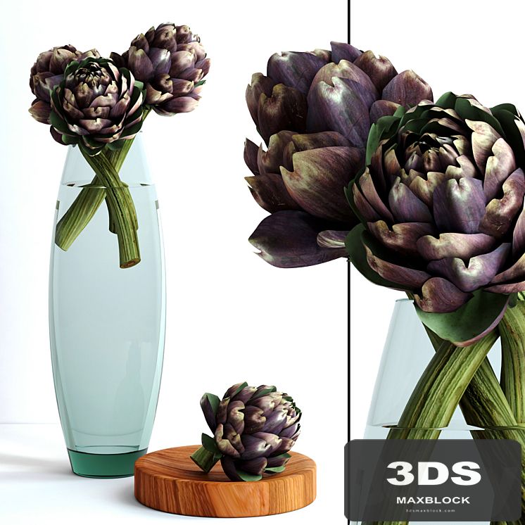 Burgundy Artichokes