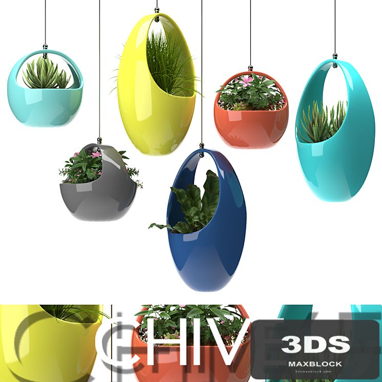 PLANTS 48