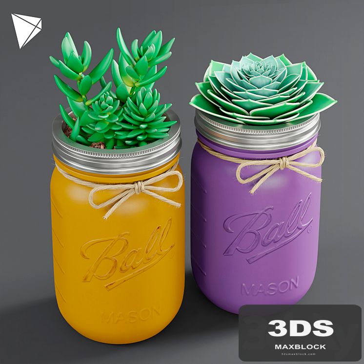 Pot Ball Mason Jar Succulent