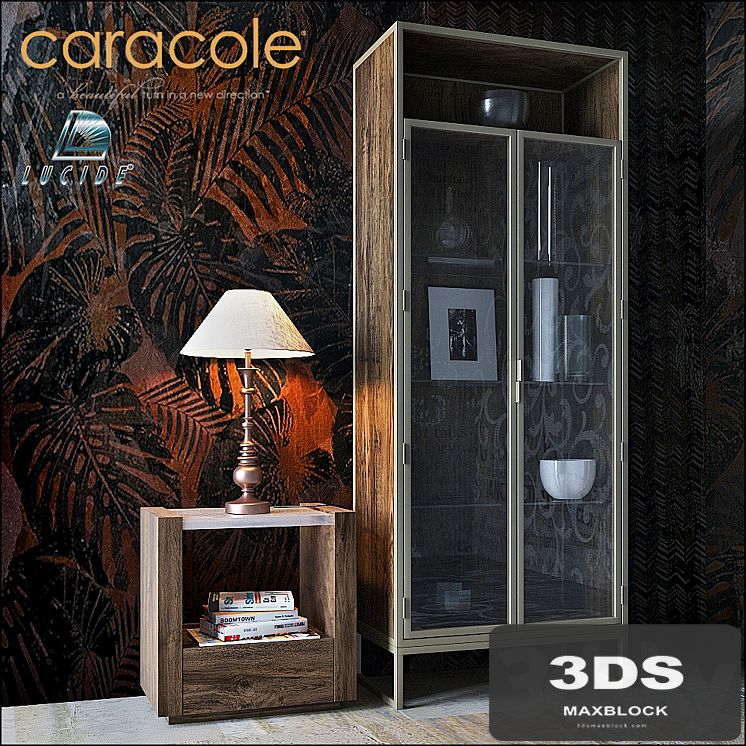 CARACOLE Vision-Airy ATS-DISCAB-001
