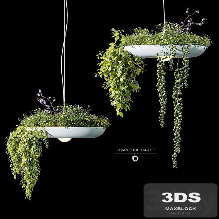 Chandelier plant pot