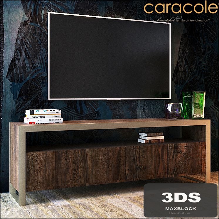 CARACOLE Key Components ATS-MEDIA-001