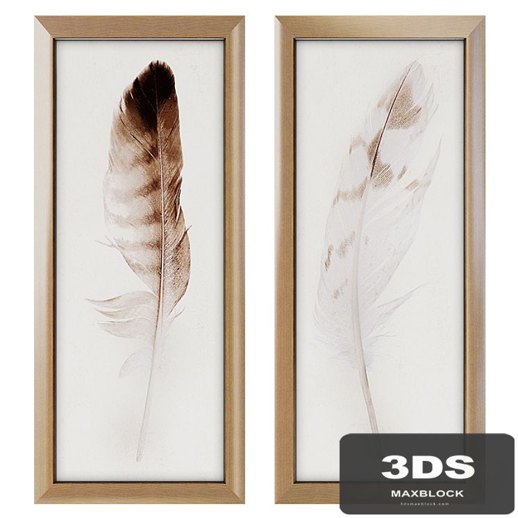 Feather Panel Framed Art Print