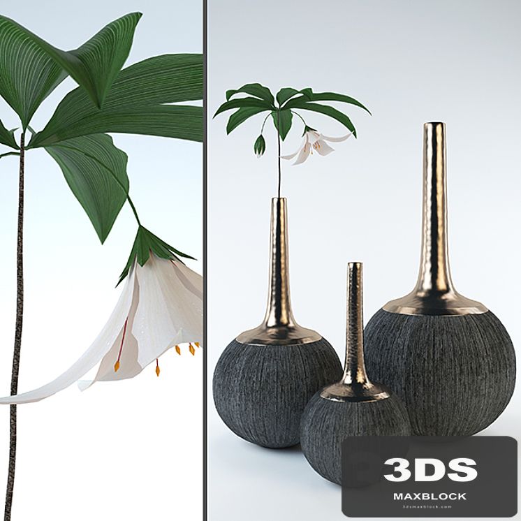 Decorative Vases Whith Flower