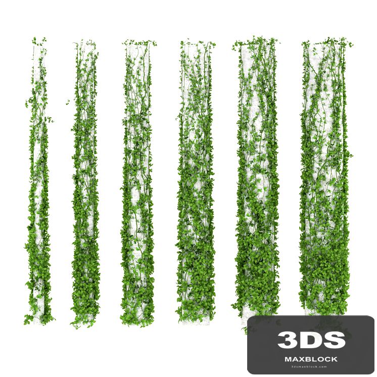Leaves for columns. 6 sizes