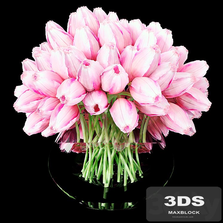Tulips 7