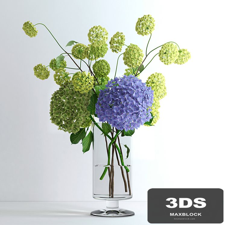 Hydrangeas and Viburnum