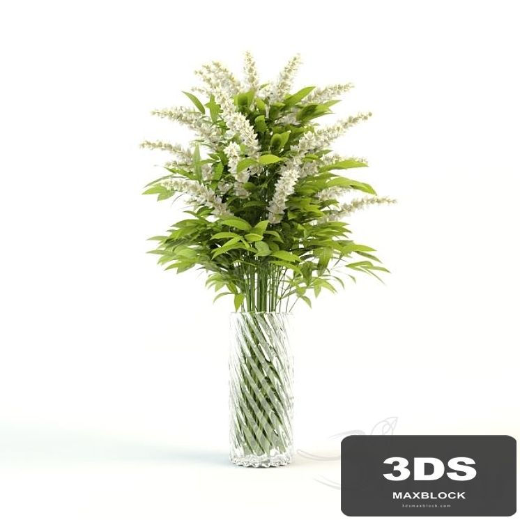 Flower in a vase