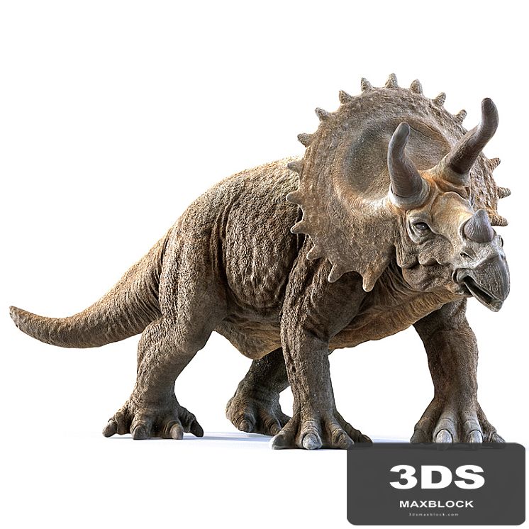 triceratops