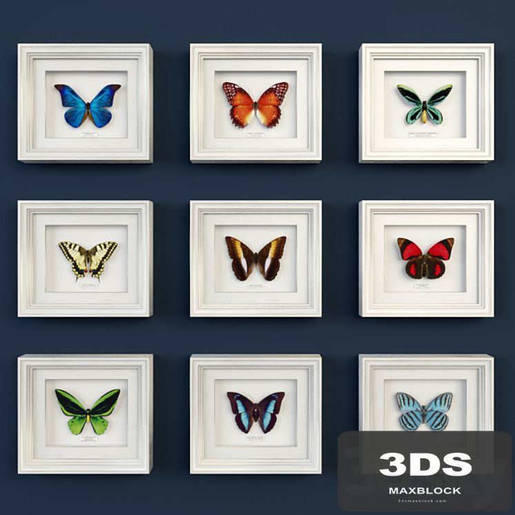 Decorative set of butterflies