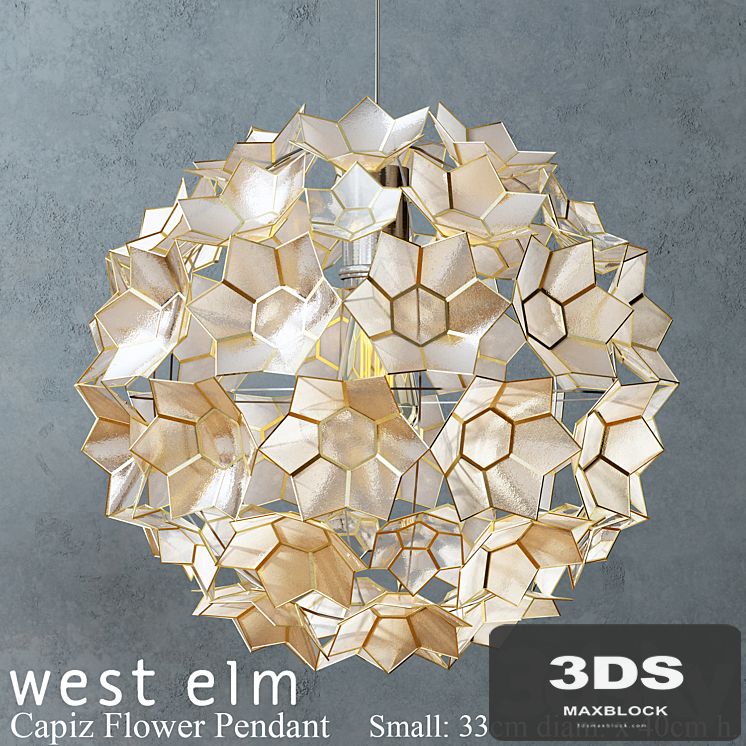 West elm - Capiz Flower Pendant