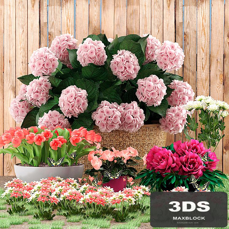 Flower beds