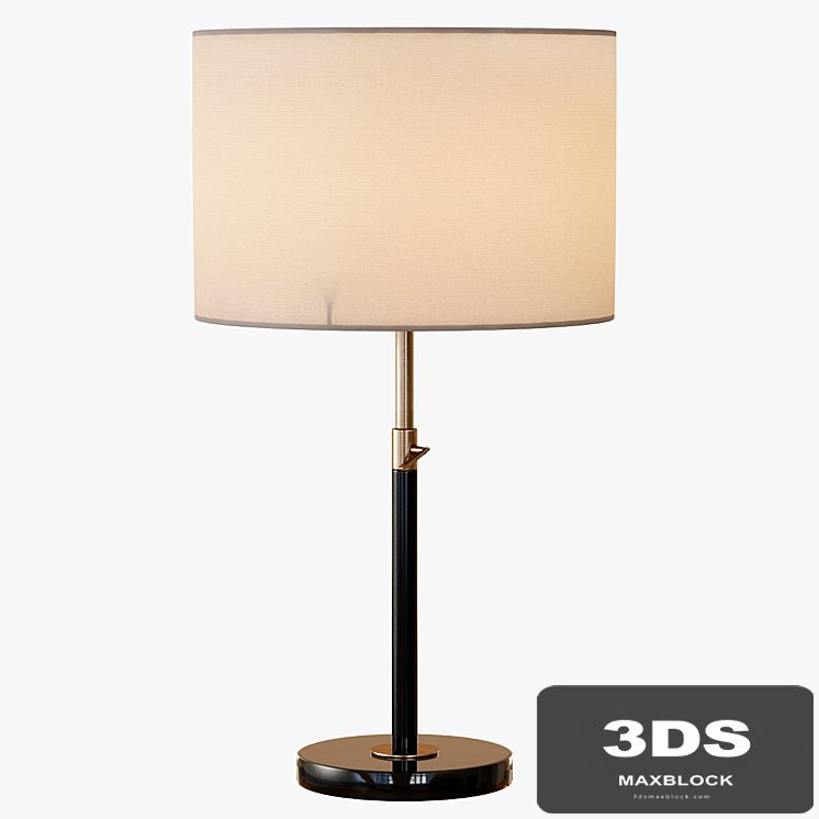 Telescoping Table Lamp