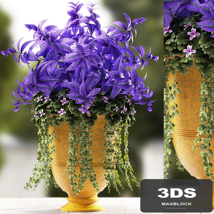 PLANTS 56