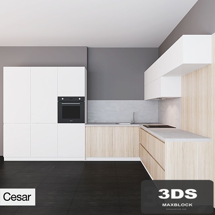 Cesar Maxima 2.2 zahvat hook