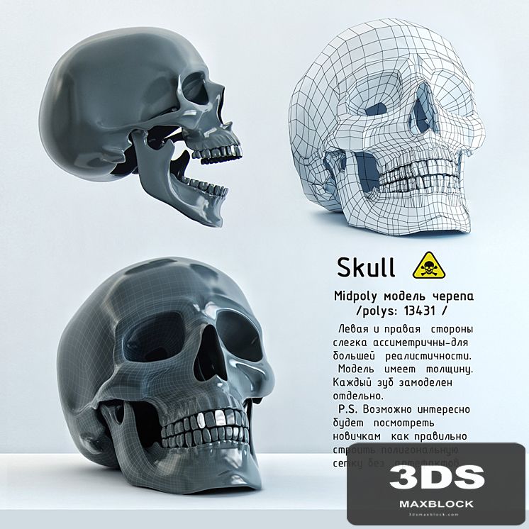 Skull