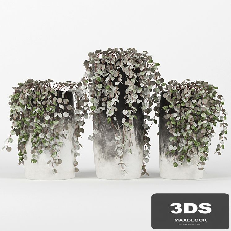 Black &amp; White Ombre Cylinder Vase