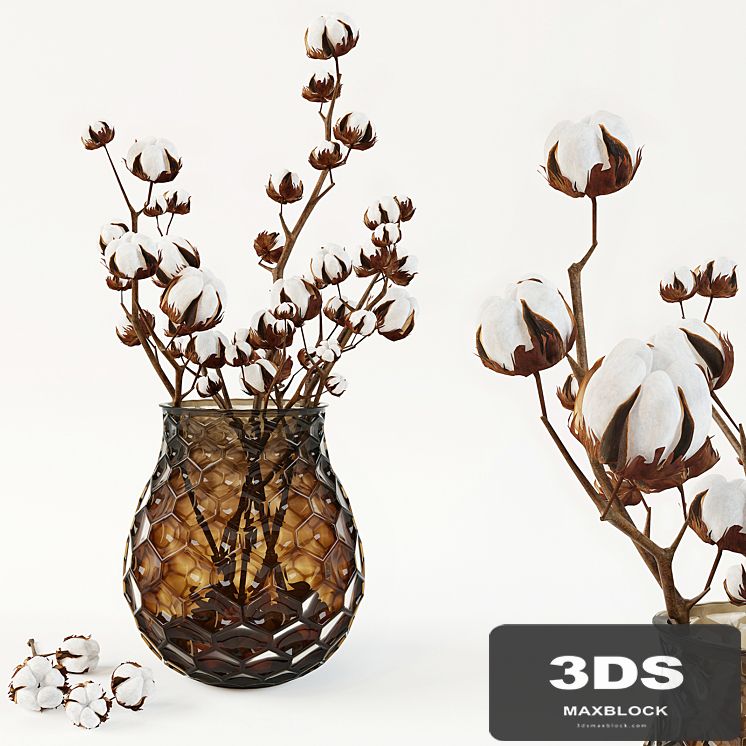 Cotton in a vase