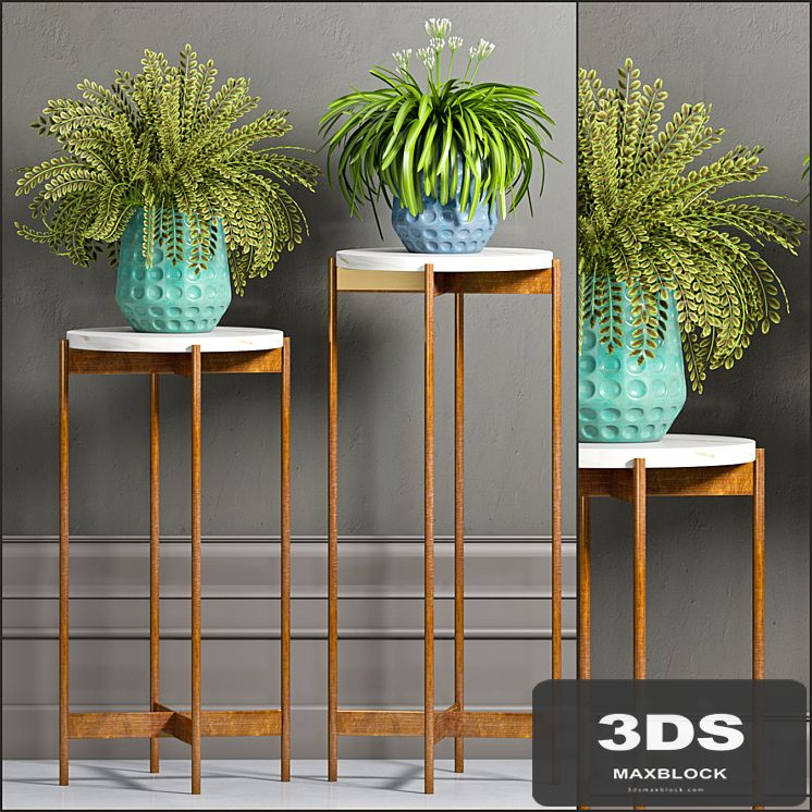 PLANT-40
