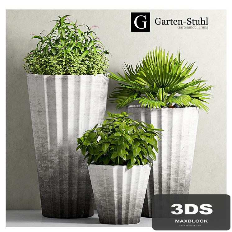 PLANT-43