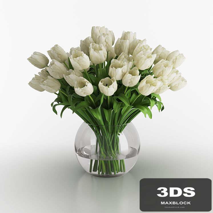White tulips in a vase