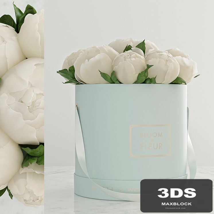 Peonies