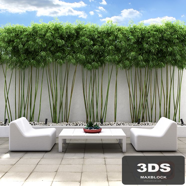 Bamboo wall