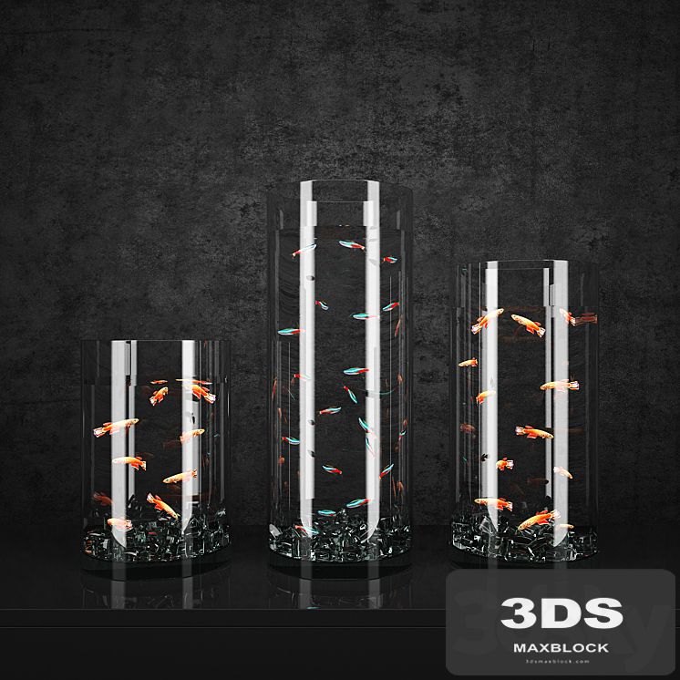 Aquarium