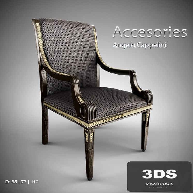 Angelo Cappelini / Accesories