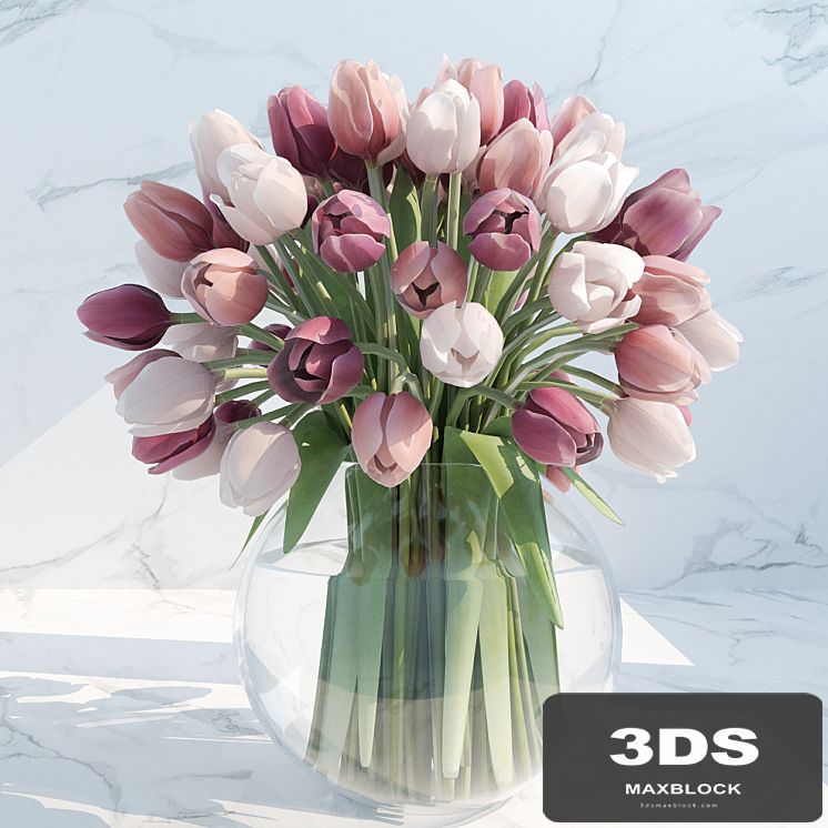 tulips