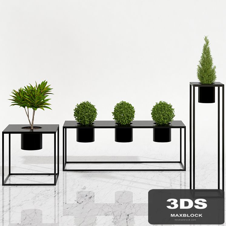 Potted plants 05
