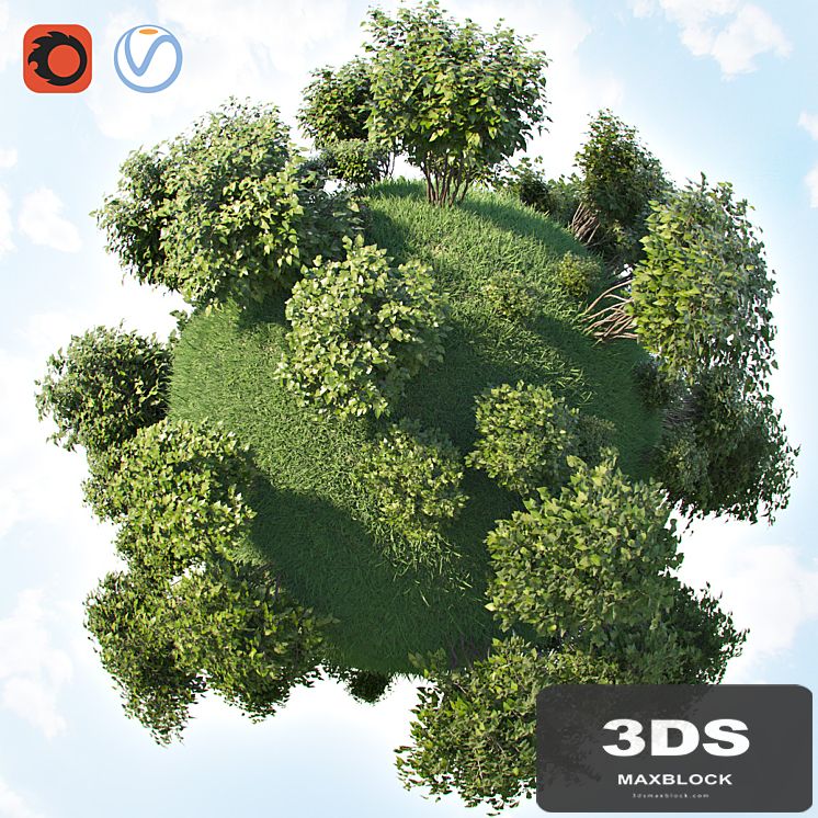 Set of bushes