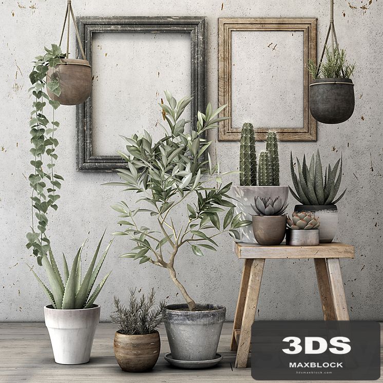 Decorative plant set