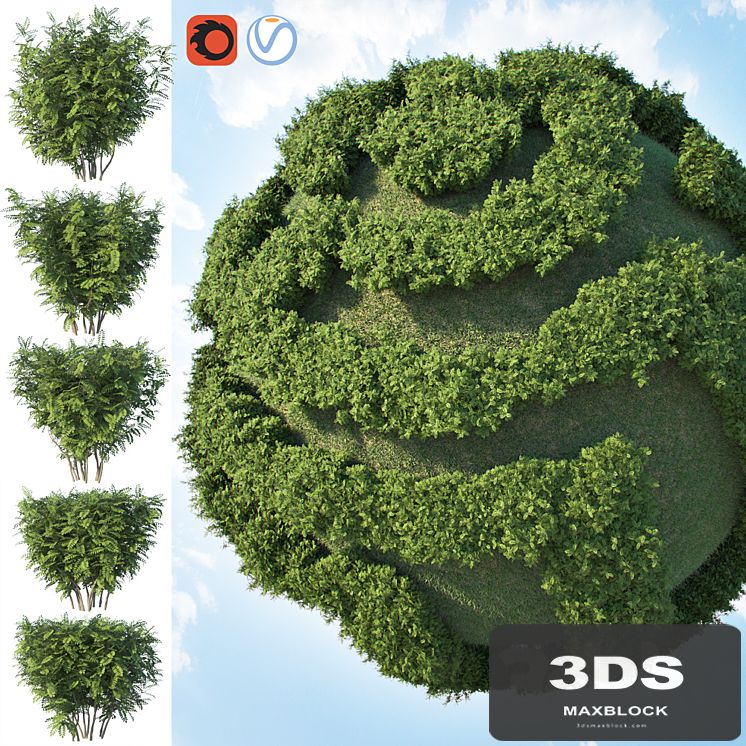 Set of 2 bushes