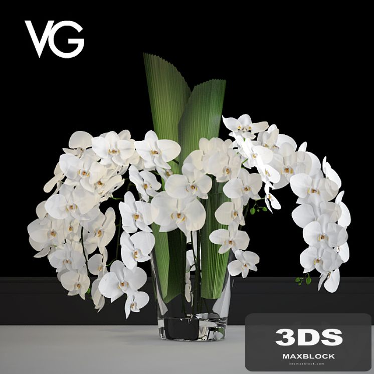 Decorative arrangement of orchids VG