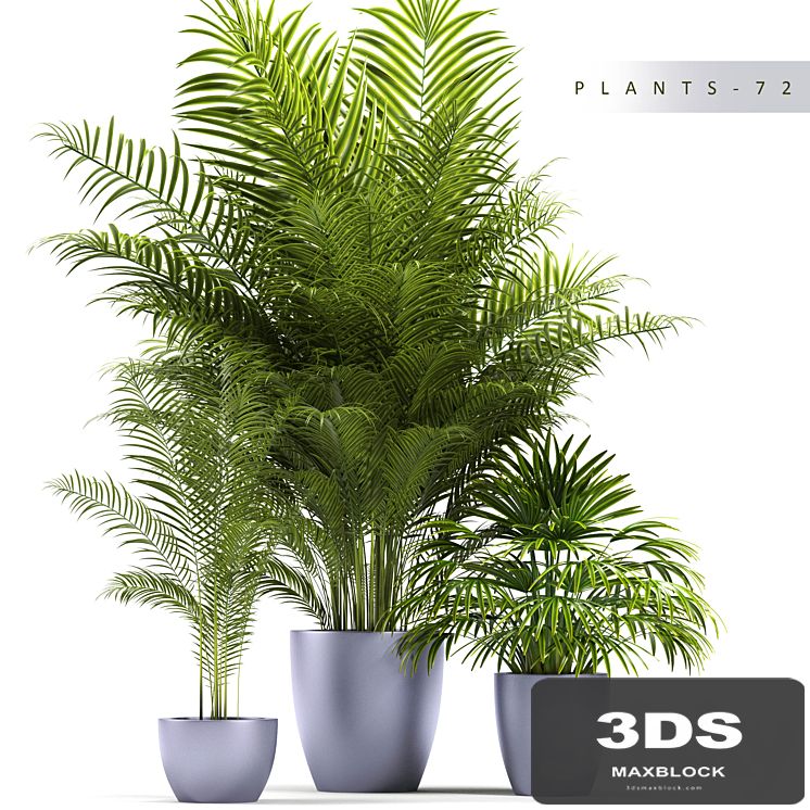 PLANTS 72