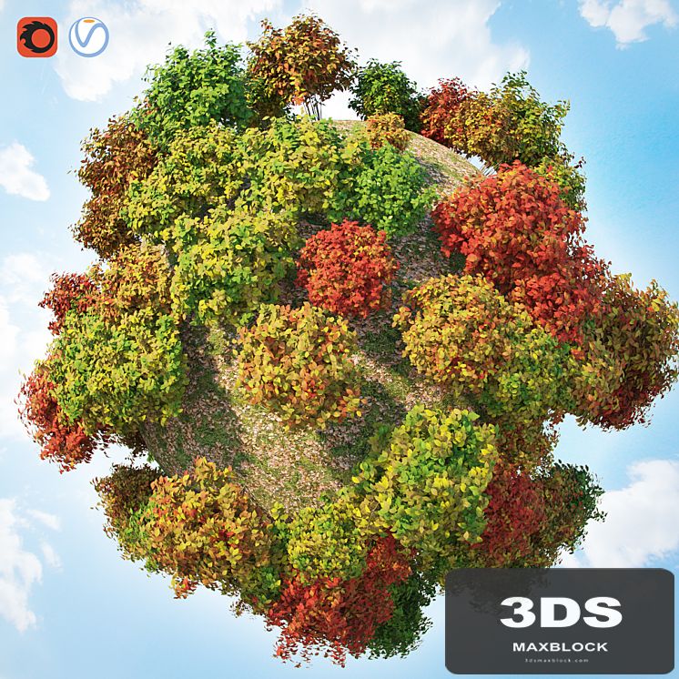 Set autumn bushes 3