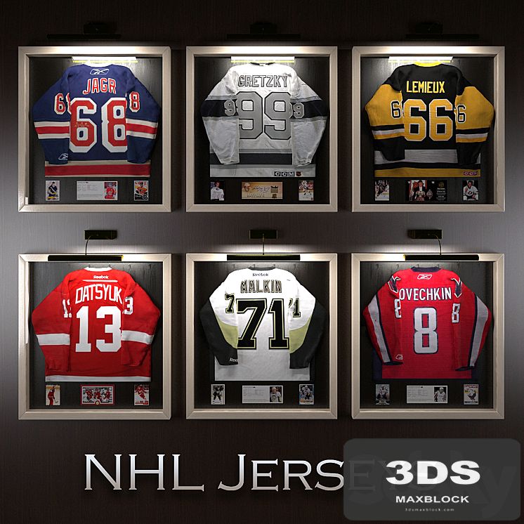 Hockey jerseys NHL stars
