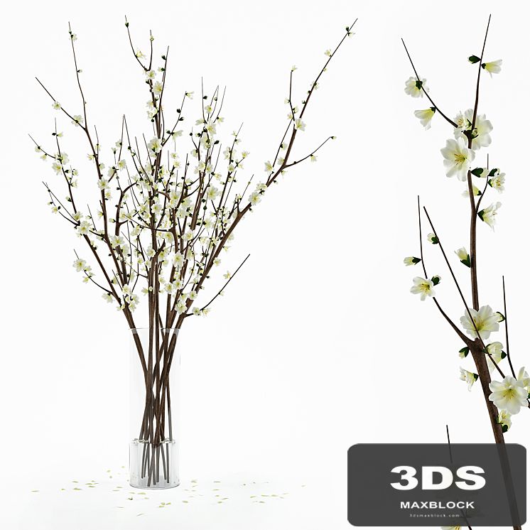 Branches in a vase