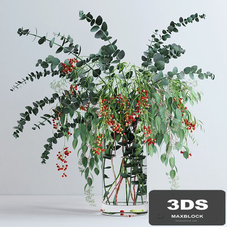 Pepperberries and Eucalyptuses
