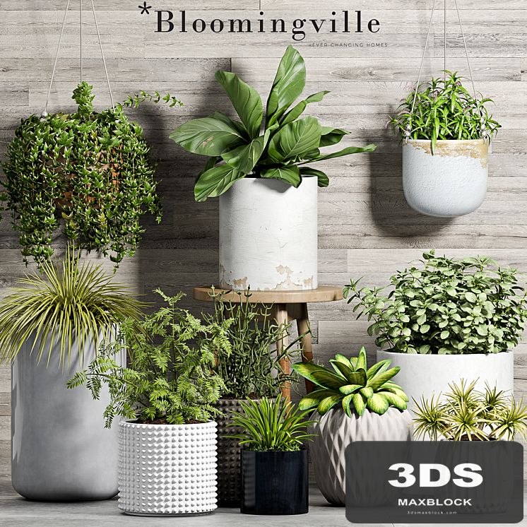 PLANT SET -58