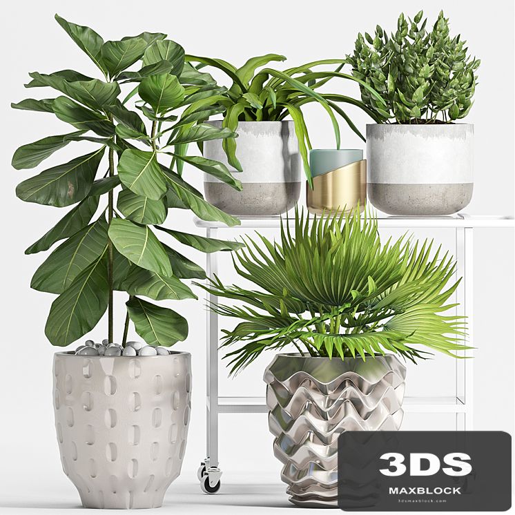 PLANT SET -59