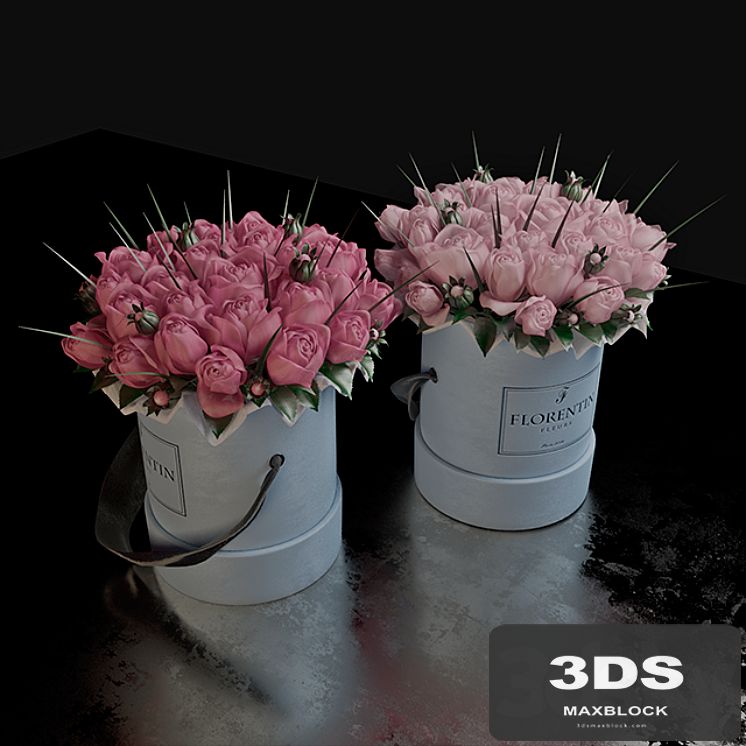 Roses in a gift box