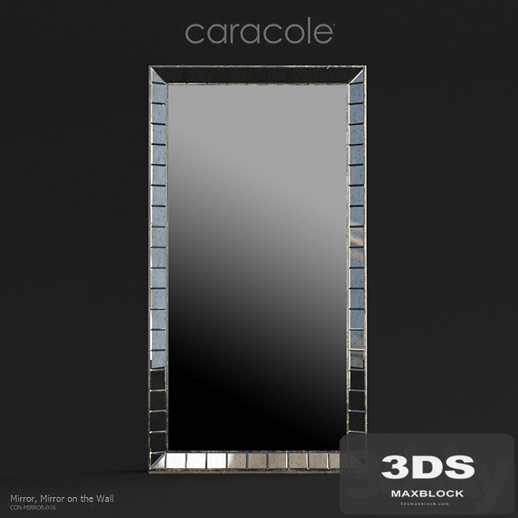 Caracole Classic Mirror on the Wall