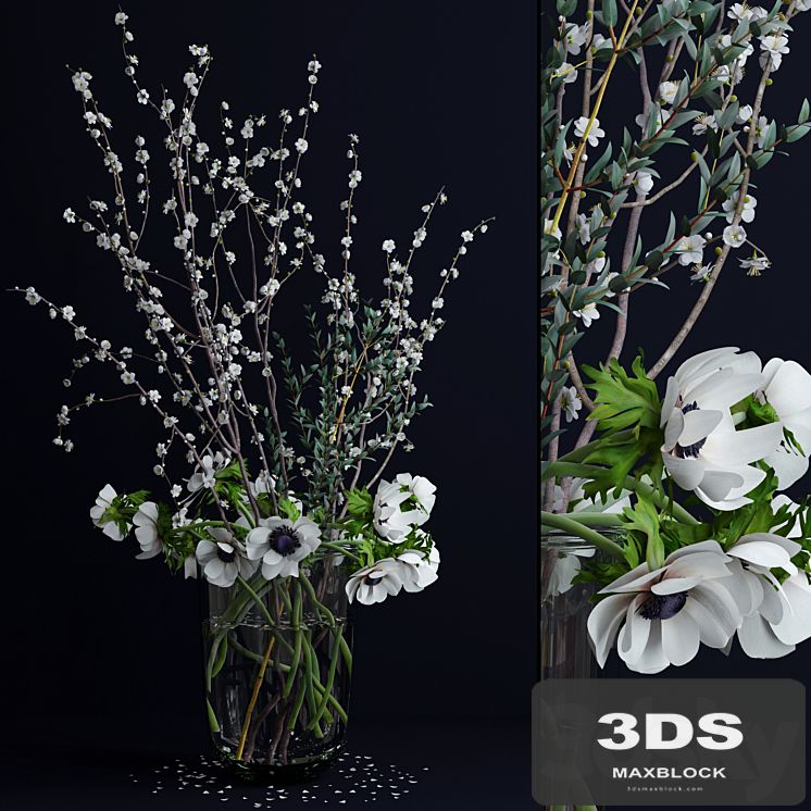 Anemones and branches