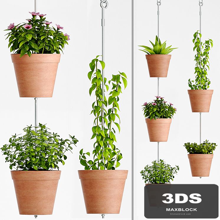 PLANT SET -60