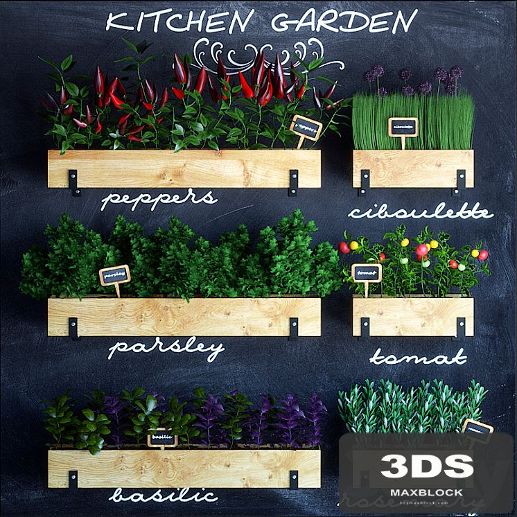 Kitchen garden